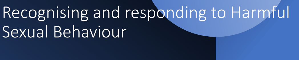 Recognising and Responding to Harmful Sexual Behaviour in Children image