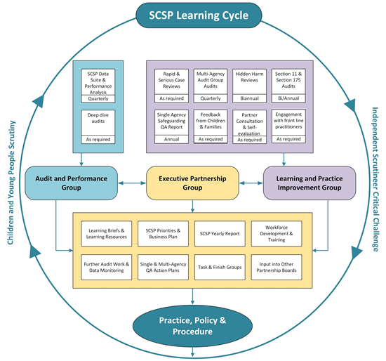 SCSP Learning Cycle