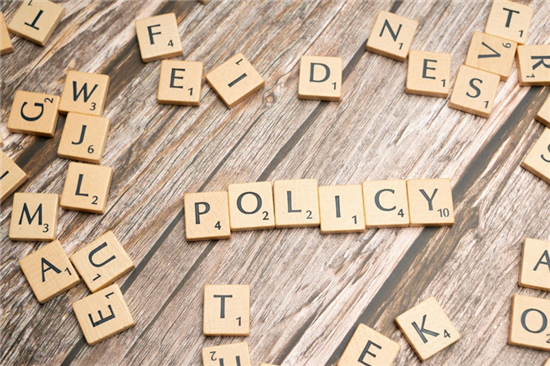 blocks spelling out \'policy\'